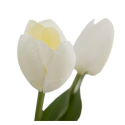 Planta Tulipanes Blanco 11 X 11 X 31 cm